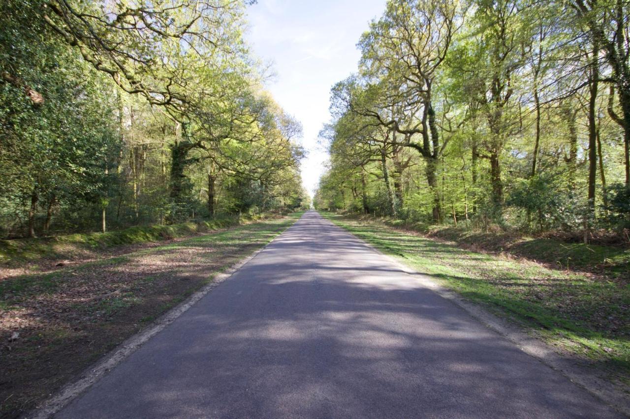 Avondale New Forest Godshill  Exterior foto